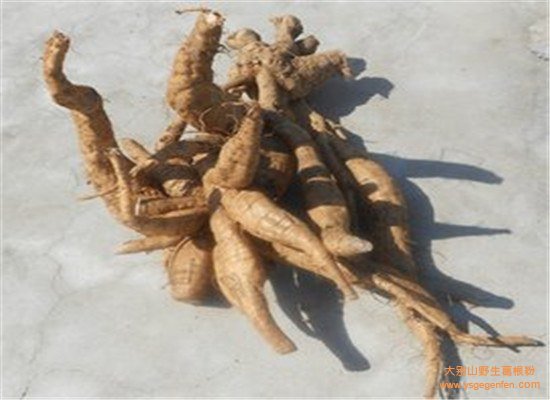 葛根粉真的丰胸吗