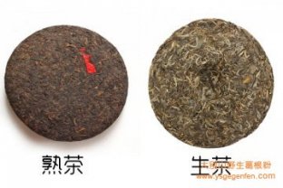 古树茶的功效与作用