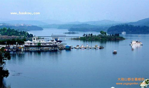 甘肃旅游必买地方土特产全搜罗