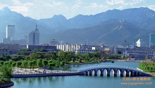 泰安的特产有什么