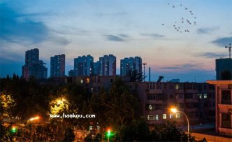 <b>保定特产有什么?</b>