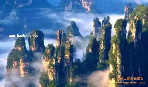 湖南特产有哪些