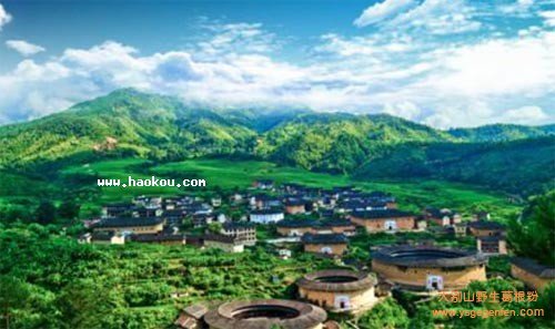 福建有哪些特产