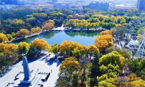 呼和浩特特产有哪些?