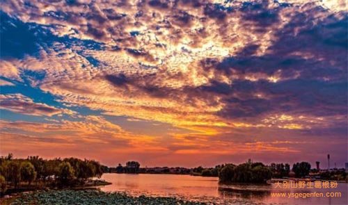 邯郸有什么特产