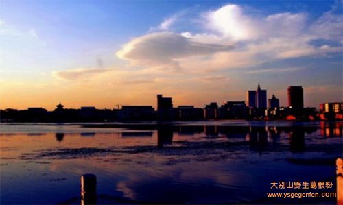 沧州特产有哪些