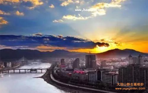 通化有什么特产