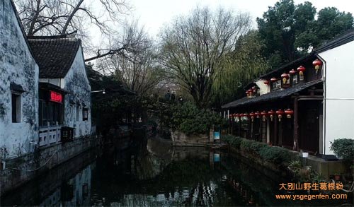 绍兴有什么特产?