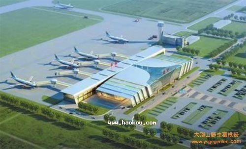 潍坊有什么特产可以带?