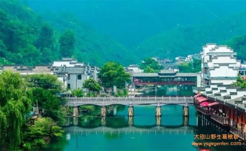 景德镇有什么特产?