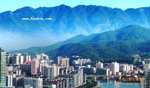 南平有什么特产?