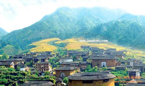 龙岩有什么特产?