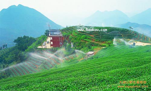 漳州有什么特产?