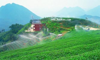 漳州有什么特产?