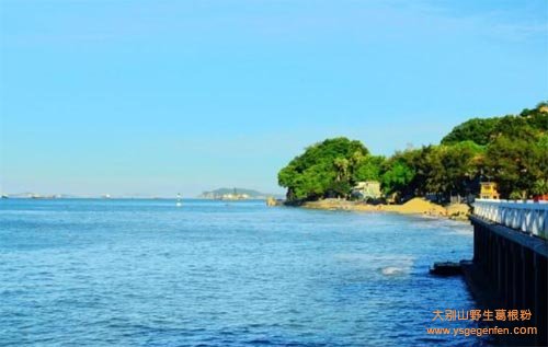 厦门特产有什么?