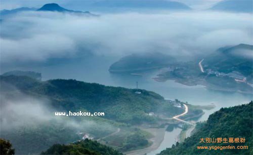 六安有什么特产?