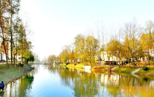 铜陵有什么特产?