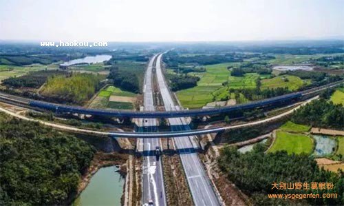 滁州有什么特产?