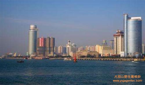 福建厦门特产有哪些