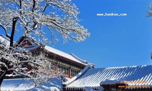 北京的特产是什么