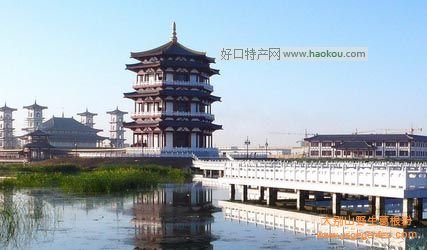 银川有什么特产?