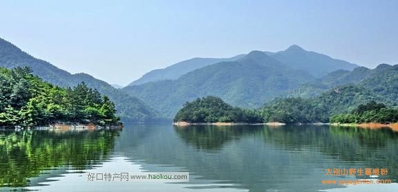 内江有什么好吃的?