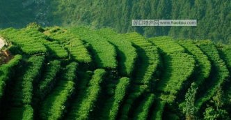 泉州有什么好吃的?