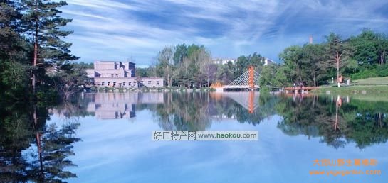 延边有什么特产?