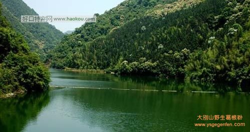 龙岩有哪些特产？