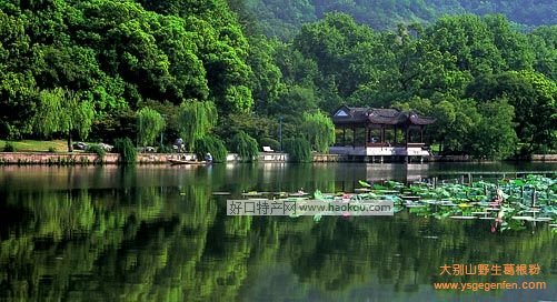 杭州有哪些特产？