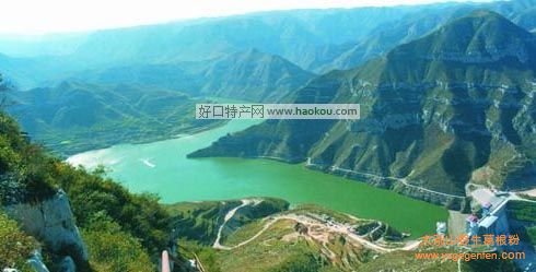 太原有什么特产？