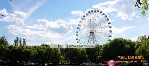 呼和浩特有什么特产？