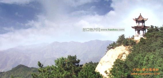 孝感有哪些特产?