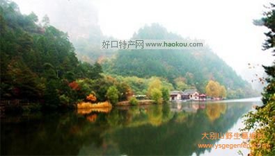 天水有哪些特产