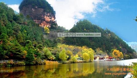 陇南有哪些特产?