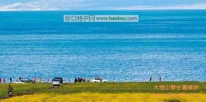 青海有哪些特产?