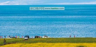 <b>青海有哪些特产?</b>