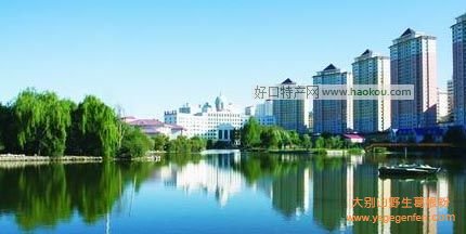 西宁有什么特产?