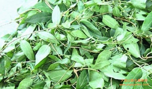 琼海名小吃鸡屎藤粑仔