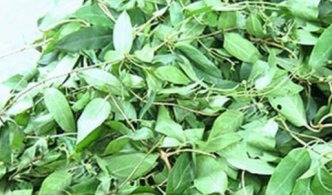 <b>琼海名小吃鸡屎藤粑仔</b>