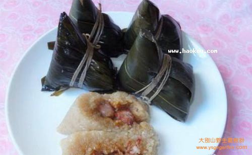 肉粽子的做法大全