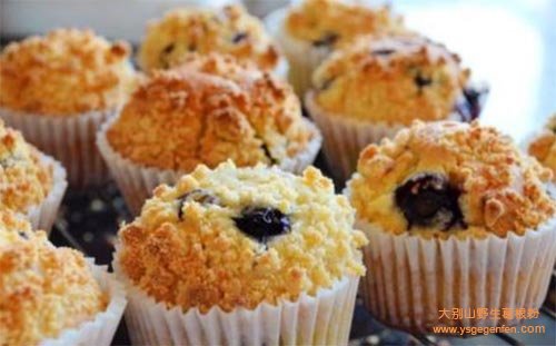 蓝莓干酸奶马芬