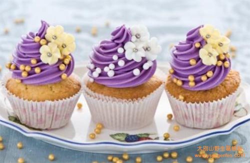 花朵杯子小蛋糕