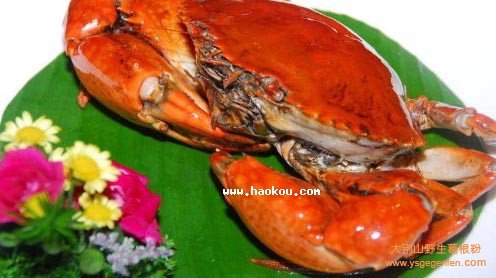 葫芦岛餐饮服务