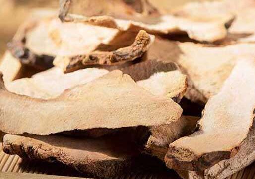 土茯苓的功效与作用[图片]