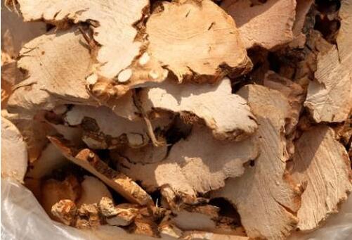 土茯苓的功效与作用[图片]