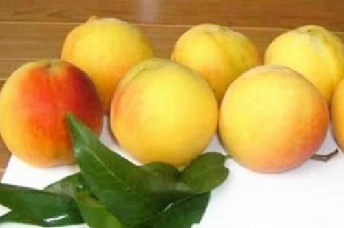 桃子的营养价值与作用
