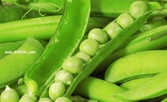 豌豆的营养价值及怎么吃才营养
