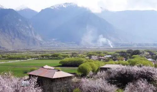 林芝十大地标产品