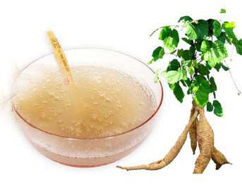 葛根粉长期服用的危害有哪些